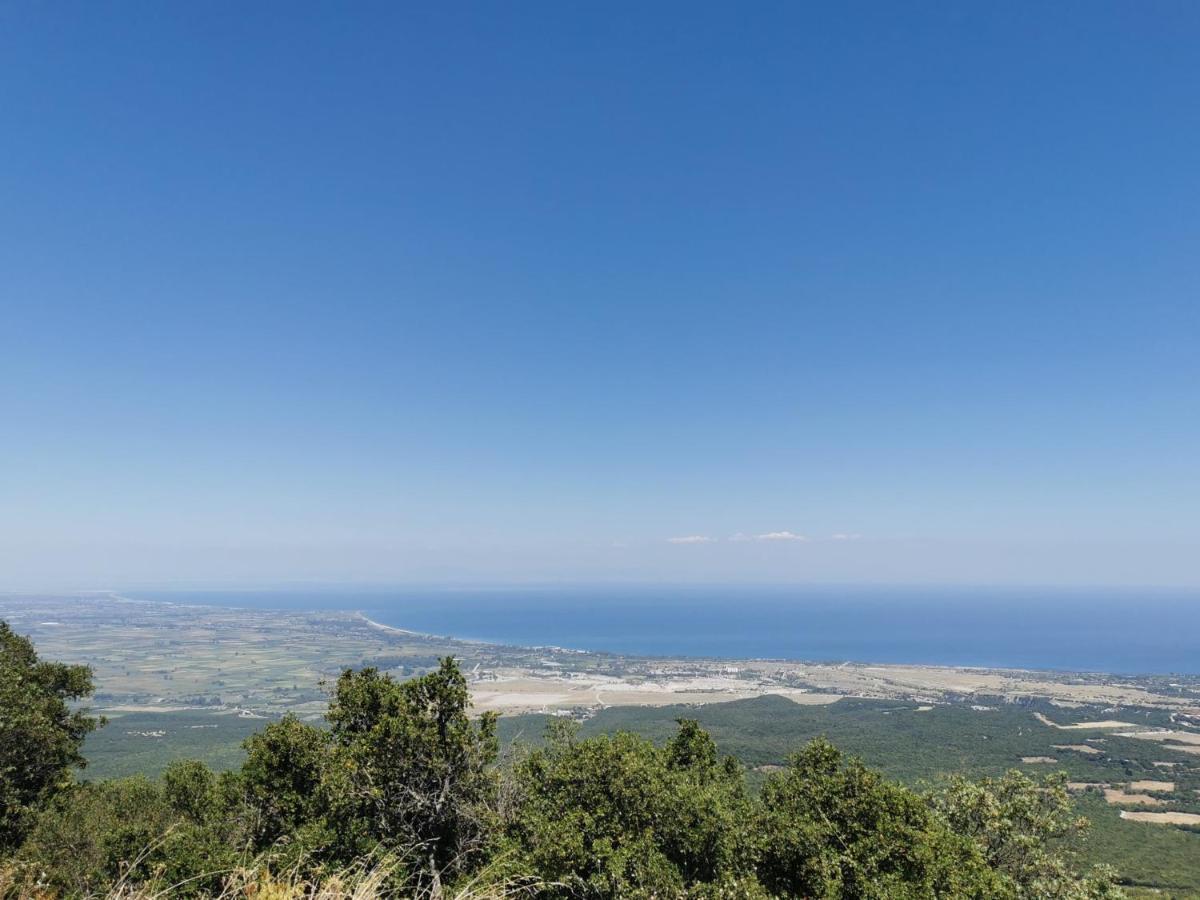 Villa Olympia Paralía 外观 照片