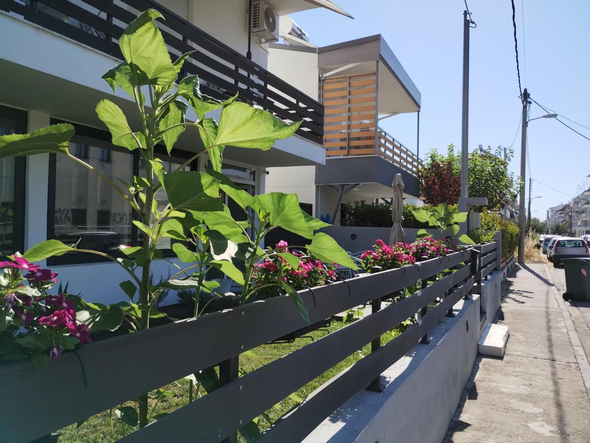 Villa Olympia Paralía 外观 照片